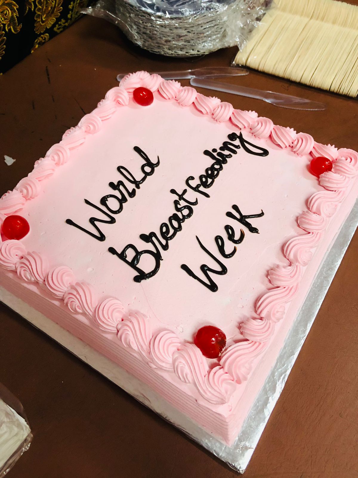 celebrating-world-breastfeeding-week-at-nich-in-sindh