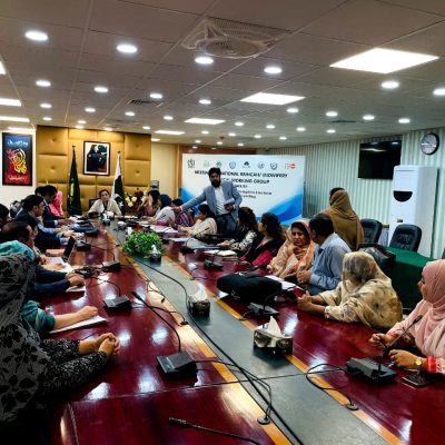 national-rmncah-meeting-04